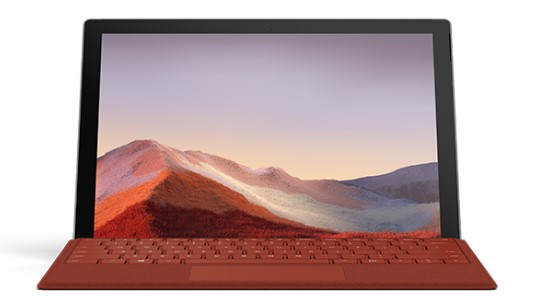 和布克赛尔清洁和维护 Surface